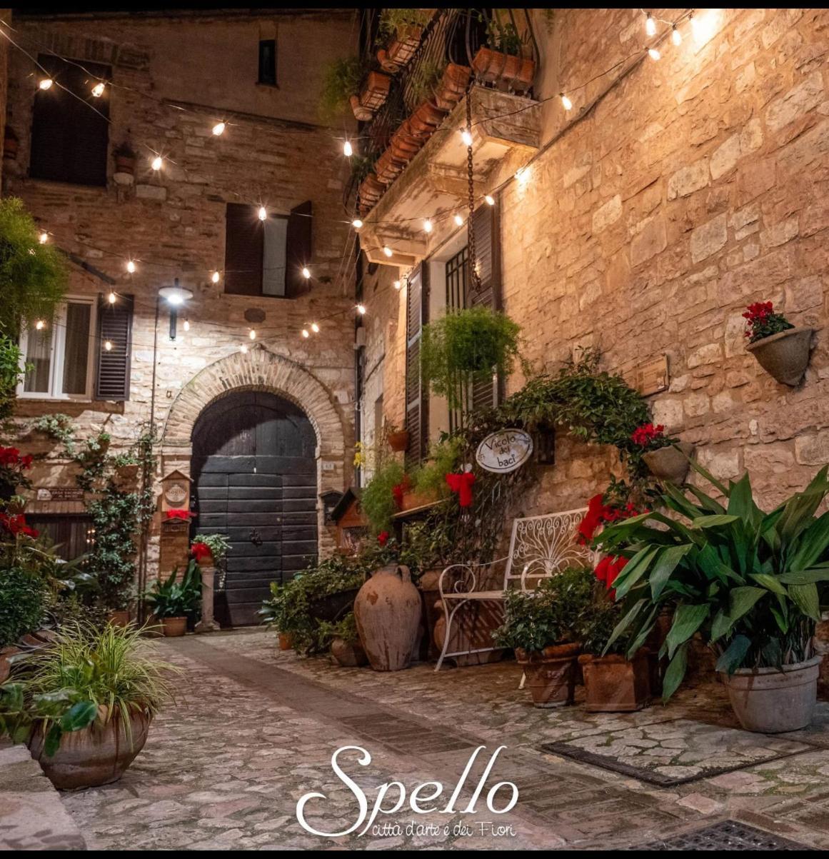 Appartement Il Sogno à Spello Extérieur photo